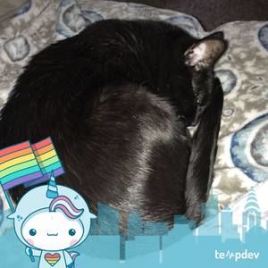 Meet your Posher, Kari